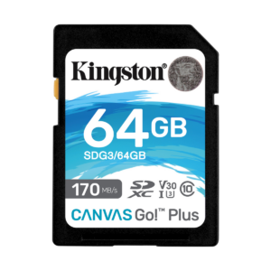 Kingston 64GB SD card