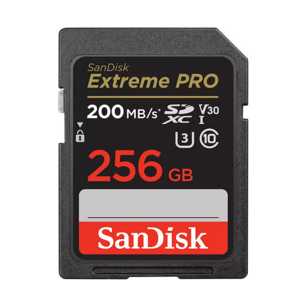 Sandisk 256GB SD card